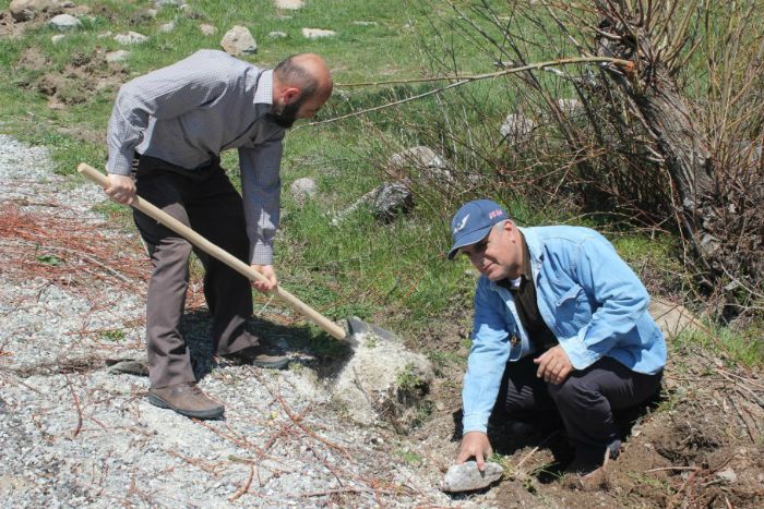Derneğimizce Köyümüz Yoluna 220 Fidan dikimi gerçekleştirildi... 